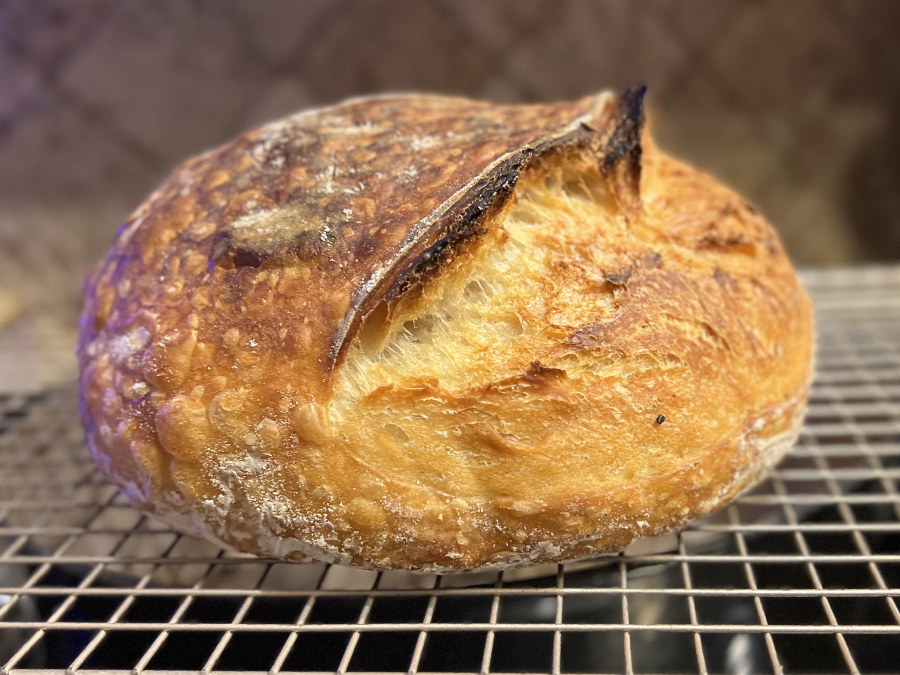Fresh baked ciabatta rolls